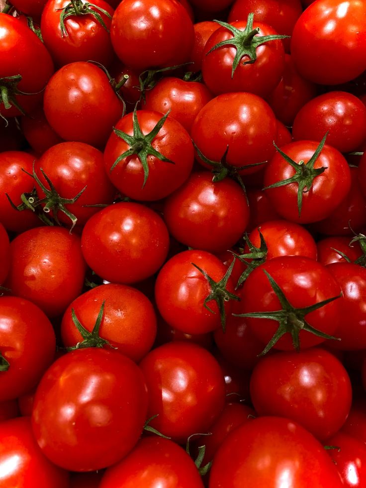 Tomatoes